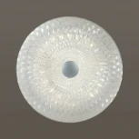 Настенно-потолочный светильник Sonex Fiola 2094/DL