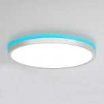 Настенно-потолочный светильник RGB Citilux Norma CL749320 (LED, 220V, пульт управления, круглые, IP40)