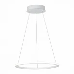 Подвесной светильник ST Luce St604 Out ST604.543.22 (LED, 220V, на тросе, кольцо)