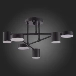 Потолочная люстра Evoluce Nobel SLE201042-06