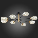 Потолочная люстра Evoluce Gloa SLE155502-08