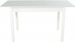 Стол Гамбург 1, Белый/Стекло серое, Аврора
