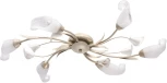 Потолочная люстра MW-Light Восторг 242016906 (220V, цветы, листья)