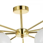 Потолочная люстра Favourite Undine 2810-9P