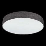 Настенно-потолочный светильник Eglo Pasteri 97613