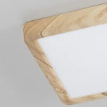 Настенно-потолочный светильник Citilux Бейсик CL738K182V (регулировка яркости, LED, 220V, IP40)