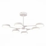 Потолочная люстра на штанге Monta SLE6003-502-06 Evoluce