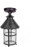 Потолочный светильник уличный Oasis Light CAIOR 1 81505A Bl (220V, фонарь, IP44)