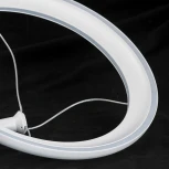 Подвесной светильник Lussole Hardin LSP-7425 (LED, 220V, на проводе, кольцо)