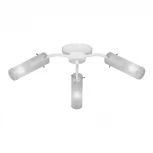 Потолочная люстра Vitaluce V3863/3PL