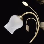 Потолочная люстра MW-Light Флора 256018103