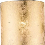 Бра Globo Amy 15187W (220V)