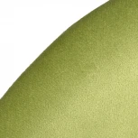 Стул Leo светло-зелёный Bradex Home RF 0368