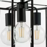 Потолочная люстра Lightstar Genni 798237 (220V, круглые)