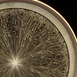 Потолочная люстра DeMarkt Норден 660014101 (LED, 220V, пульт управления, круглые)