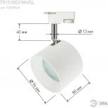 Трековый светильник ЭРА TR15 GX53 WH/SL (220V)
