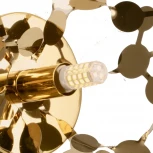 Настенный светильник Lightstar Extra 721632 (220V, листья, ветки)