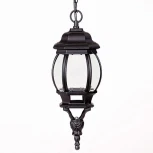 Уличный светильник подвесной Oasis Light 83405S Bl (220V, на цепи, IP44)