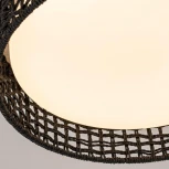 Потолочный светильник круглый LED F-Promo Conrad 4750-4C (регулировка яркости, 220V, пульт управления, круглые)