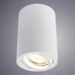 Накладной точечный светильник Arte Lamp Sentry A1560PL-1WH (220V)