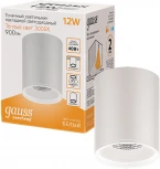 Накладной потолочный светильник Gauss HD030 12W 3000K (LED, 220V, круглые)
