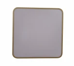 Потолочный светильник Zortes Gabby ZRS.1215.03 (LED, 220V)