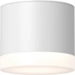 Потолочный светильник Maytoni Pauline C087CL-GX53-W GX53 1x15W (220V, круглые, IP44)