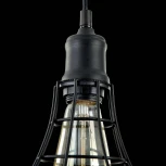 Подвесной светильник Maytoni Denver T449-PL-01-B