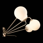 Потолочная люстра ST Luce Redjino SLE106203-12