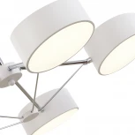 Потолочная люстра на штанге Valle SLE6005-502-05 Evoluce