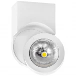 Спот Lightstar Snodo 055163