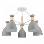 Потолочная люстра Freya Delia FR5033CL-05W