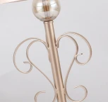 Интерьерная настольная лампа Favourite Teneritas 2553-1T