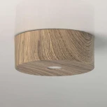 Потолочный светильник DeMarkt Иланг 712010101