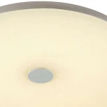 Потолочный светильник Sonex Roki Muzcolor 4629/DL