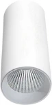 Накладной светильник Donolux Rollo DL18895R20W1W (LED, 220V, круглые)