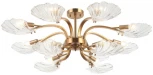 Потолочная люстра на штанге Stilfort Muschel 2153/05/12P (220V)