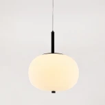 Подвесной светильник светодиодный в форме шара Cloyd Avogadro 11362 (220V, на тросе, шар)