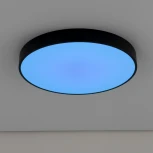 Потолочный светильник RGB круглый светодиодный с пультом Купер CL72495G1 (220V, круглые)
