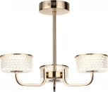 Потолочная люстра на штанге Lumion Venice 6579/40CL золото/прозрачный/металл/пластик LED 40W 220V