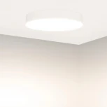 Потолочный светильник SP-FLOWER-R410-32W Warm3000 (BK, 110 deg, 230V) (Arlight, IP54 Пластик, 3 года) 049804