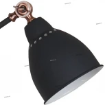 Торшер изогнутый для чтения Arte Lamp Braccio A2054PN-1BK (220V)