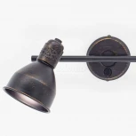 Спот на штанге Citilux Опус CL502522 (220V, выключатель, круглые)