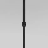 Светильник подвесной Eurosvet Pacific 50255/1 черный (220V, круглые)