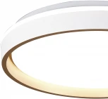 Потолочный светодиодный светильник круглый Mantra Verona 9028 (220V, круглые)