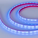 Светодиодная лента герметичная RTW-PFS-A60-11mm 12V Blue (4.8 W/m, IP68, 2835, 5m) (Arlight) 034012