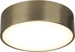 Потолочный светильник круглый Aployt Evon APL.0113.29.12 (LED, 220V, круглые)