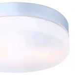 Потолочный светильник круглый Globo VRANOS 32112 (220V, IP44)