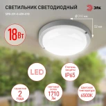 Настенно-потолочный светильник светодиодный ЭРА SPB-201-0-65K-018 (220V, круглые, IP65)