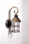 Настенный фонарь уличный Oasis Light 81502/18 Gb (220V, IP44)